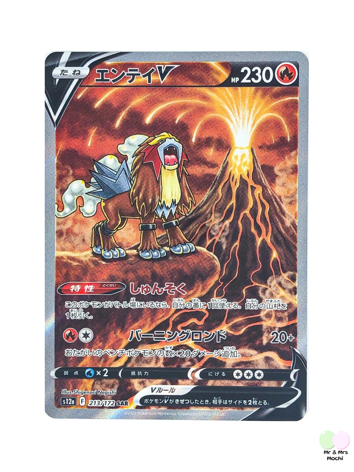 Entei V SAR 213/172 S12a VSTAR Universe Pokemon Card (Japanese) - near mint