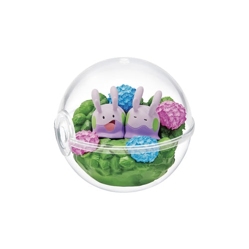 Terrarium Collection - Relaxing Moments