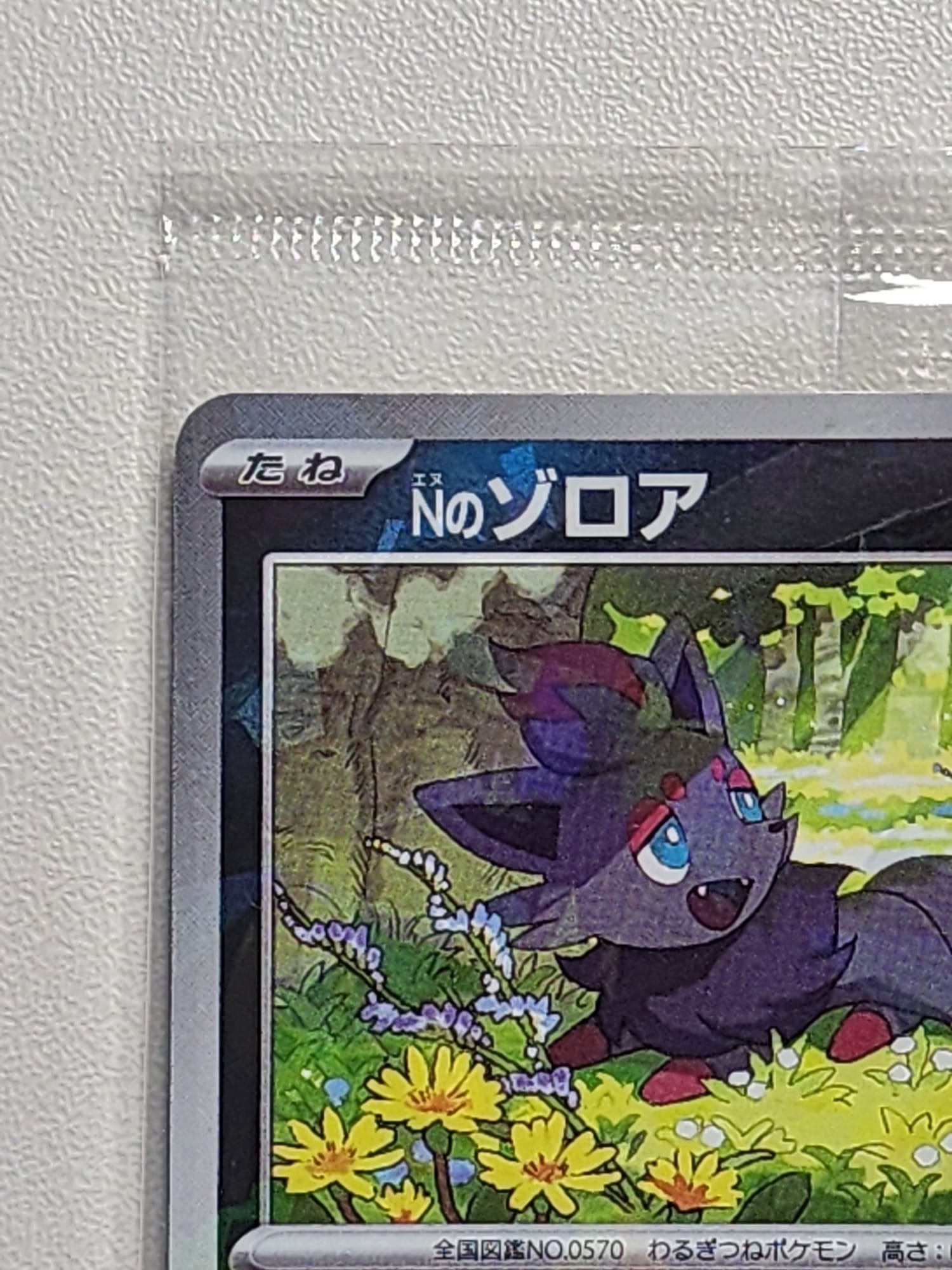 Pokemon Promo Card - N's Zorua Unopened 200/SV-P Collection File Promo