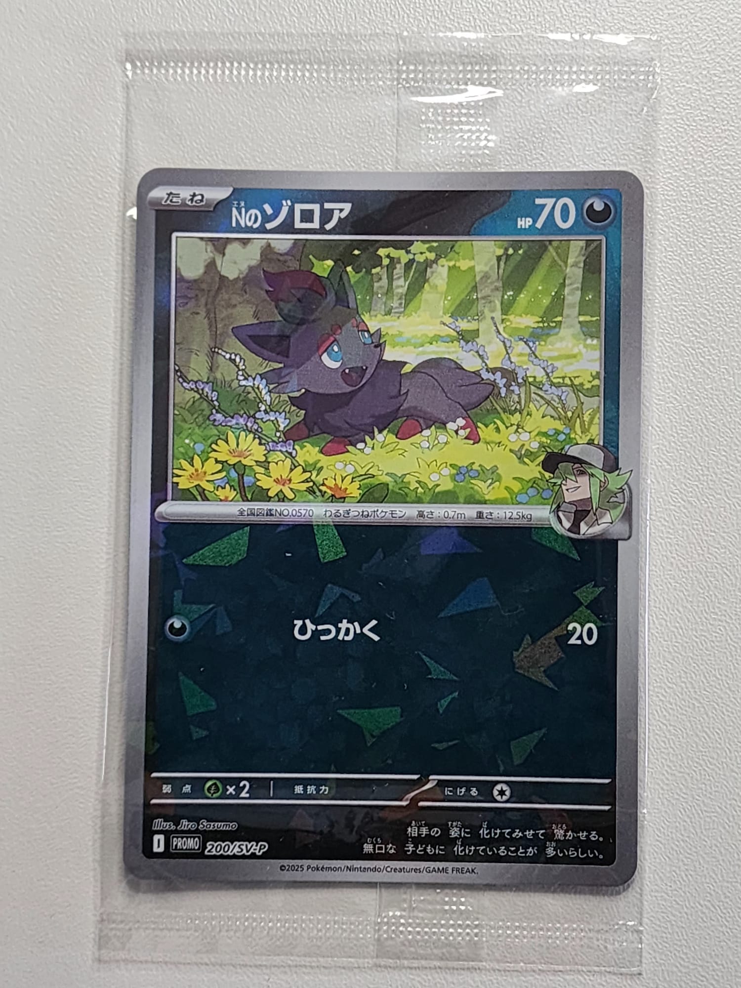 Pokemon Promo Card - N's Zorua Unopened 200/SV-P Collection File Promo