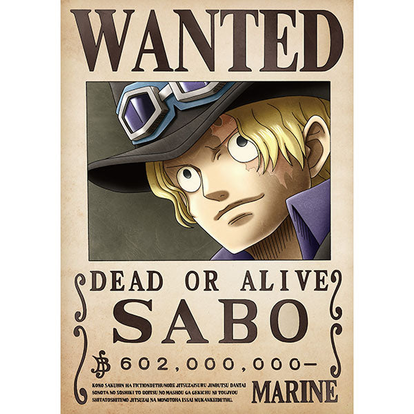 One Piece Wanted Poster