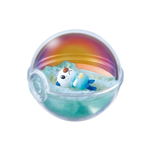 Terrarium Collection - 13