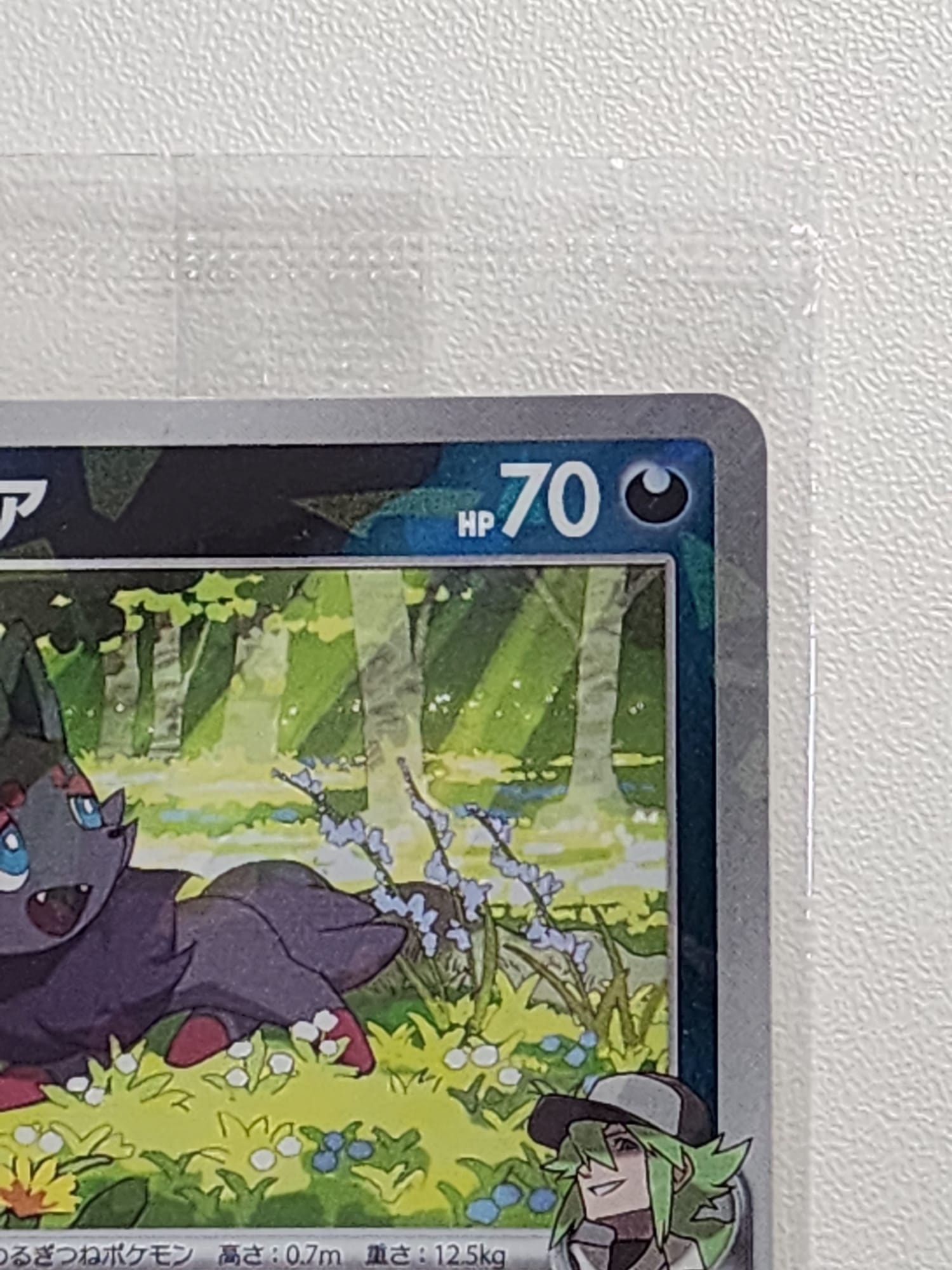 Pokemon Promo Card - N's Zorua Unopened 200/SV-P Collection File Promo