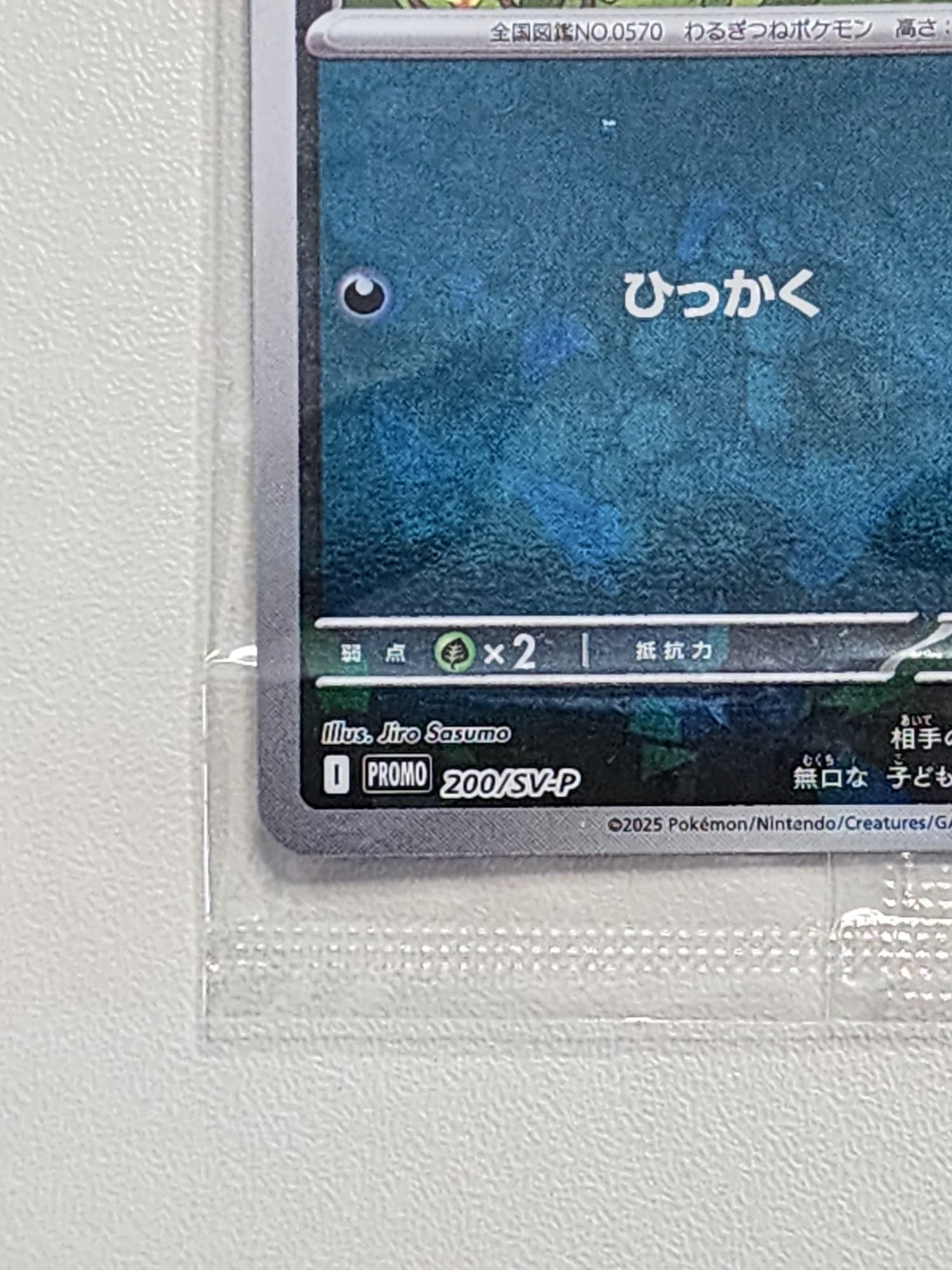 Pokemon Promo Card - N's Zorua Unopened 200/SV-P Collection File Promo