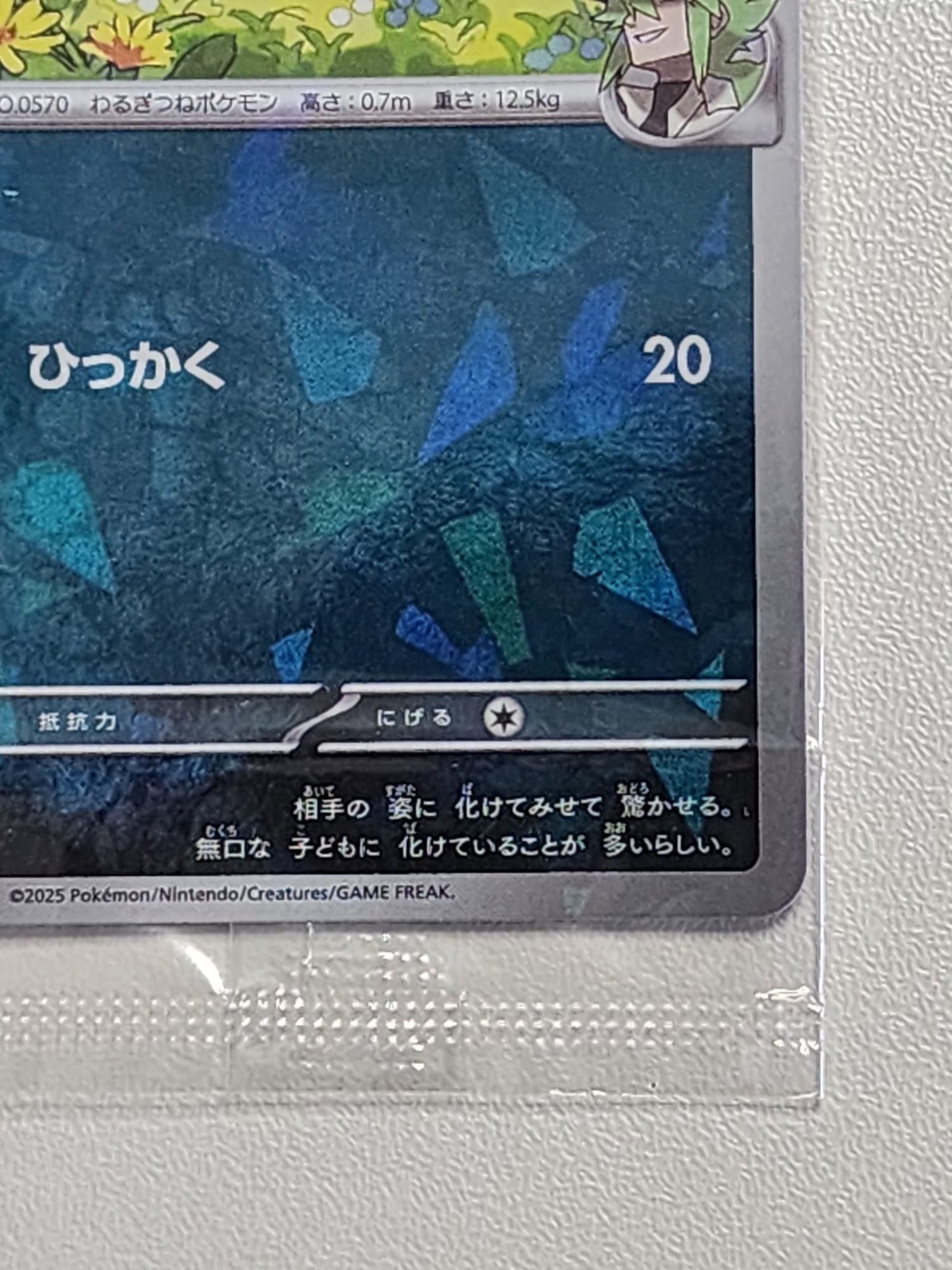 Pokemon Promo Card - N's Zorua Unopened 200/SV-P Collection File Promo