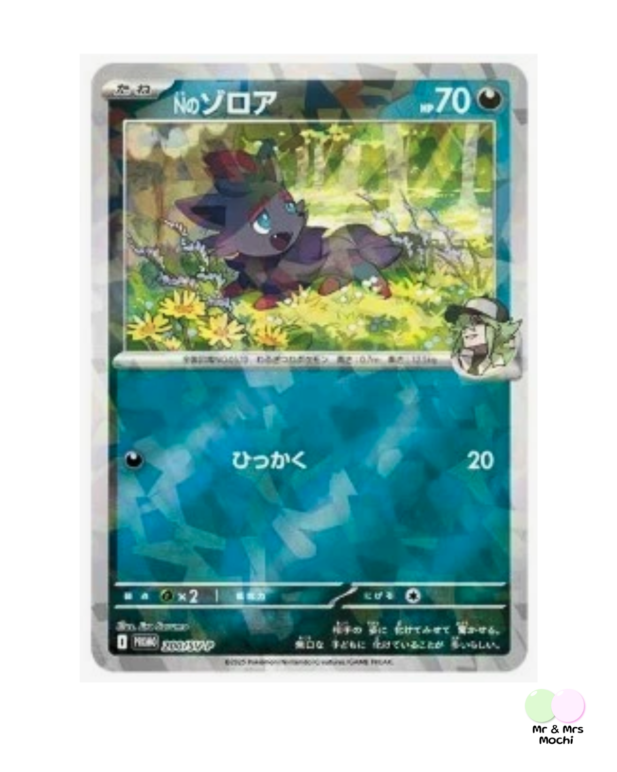 Pokemon Promo Card - N's Zorua Unopened 200/SV-P Collection File Promo